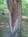 2011-10-02, Pilze (13)